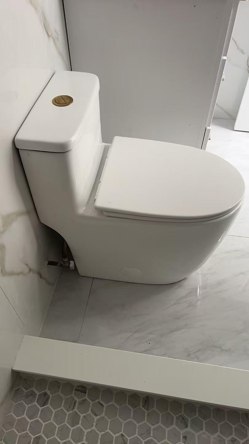 Casta Diva One Piece Toilet Elongated with 17.5