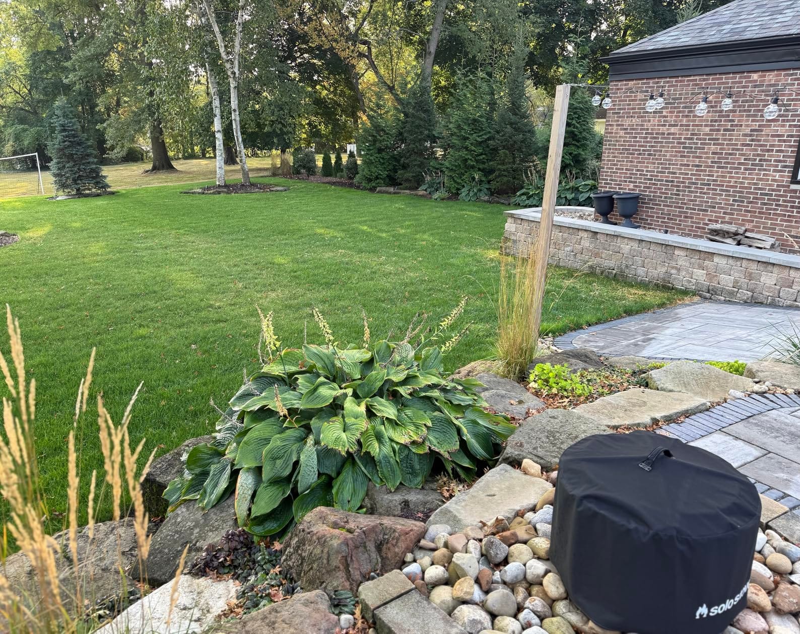 TIECTOWN 2026 Upgrade 16-Inch 15.5A Electric Dethatcher & Scarifier, Green customer photo 2