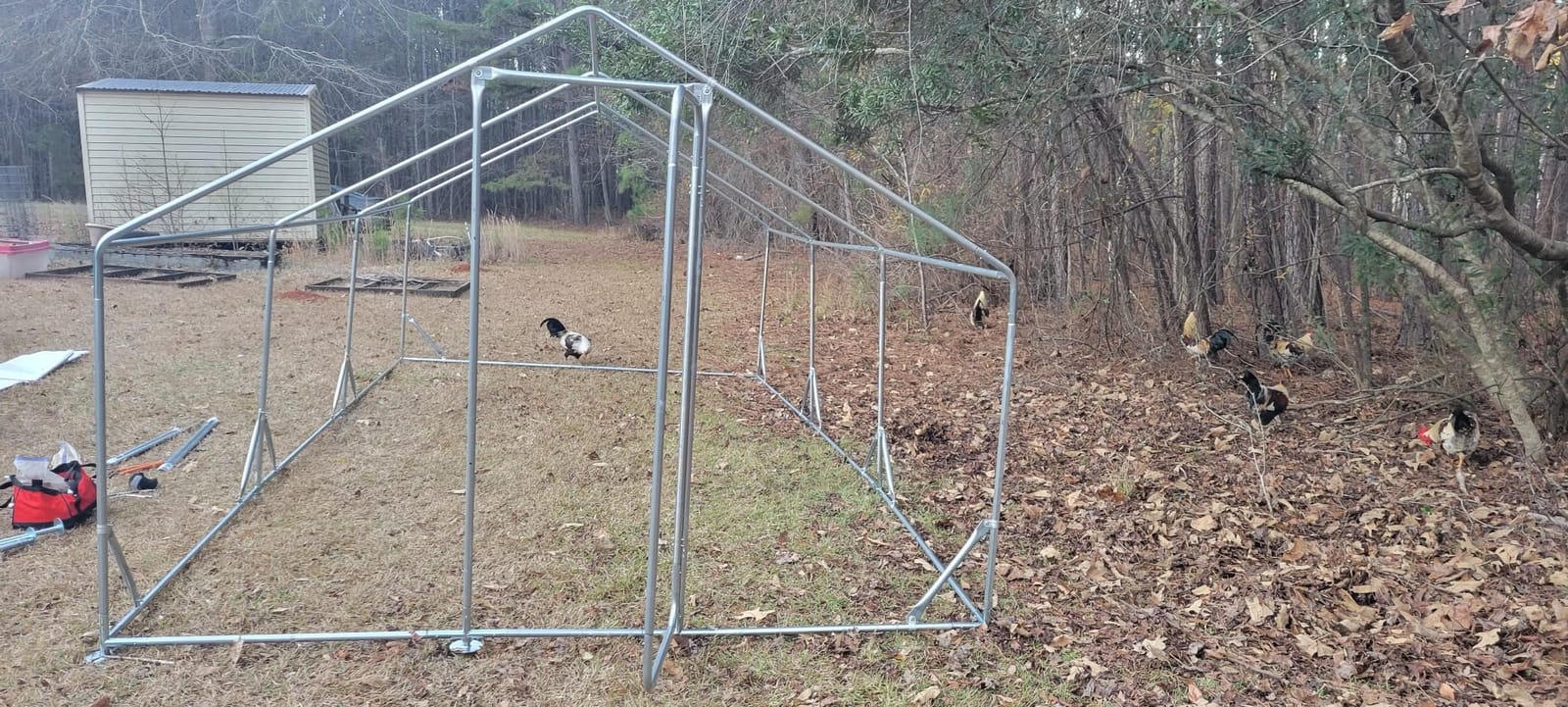 Quictent Large Metal Chicken Coop Run for 30+ Poultry w/Beige Nest Box customer photo 2