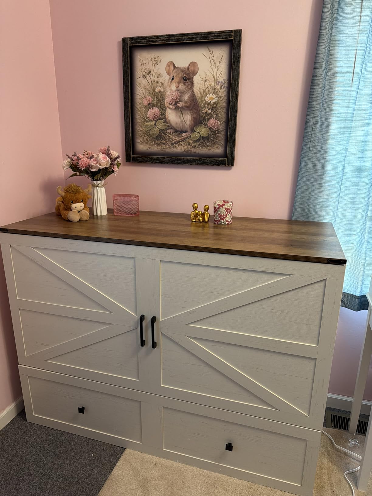 Twin White Murphy Bed with 6