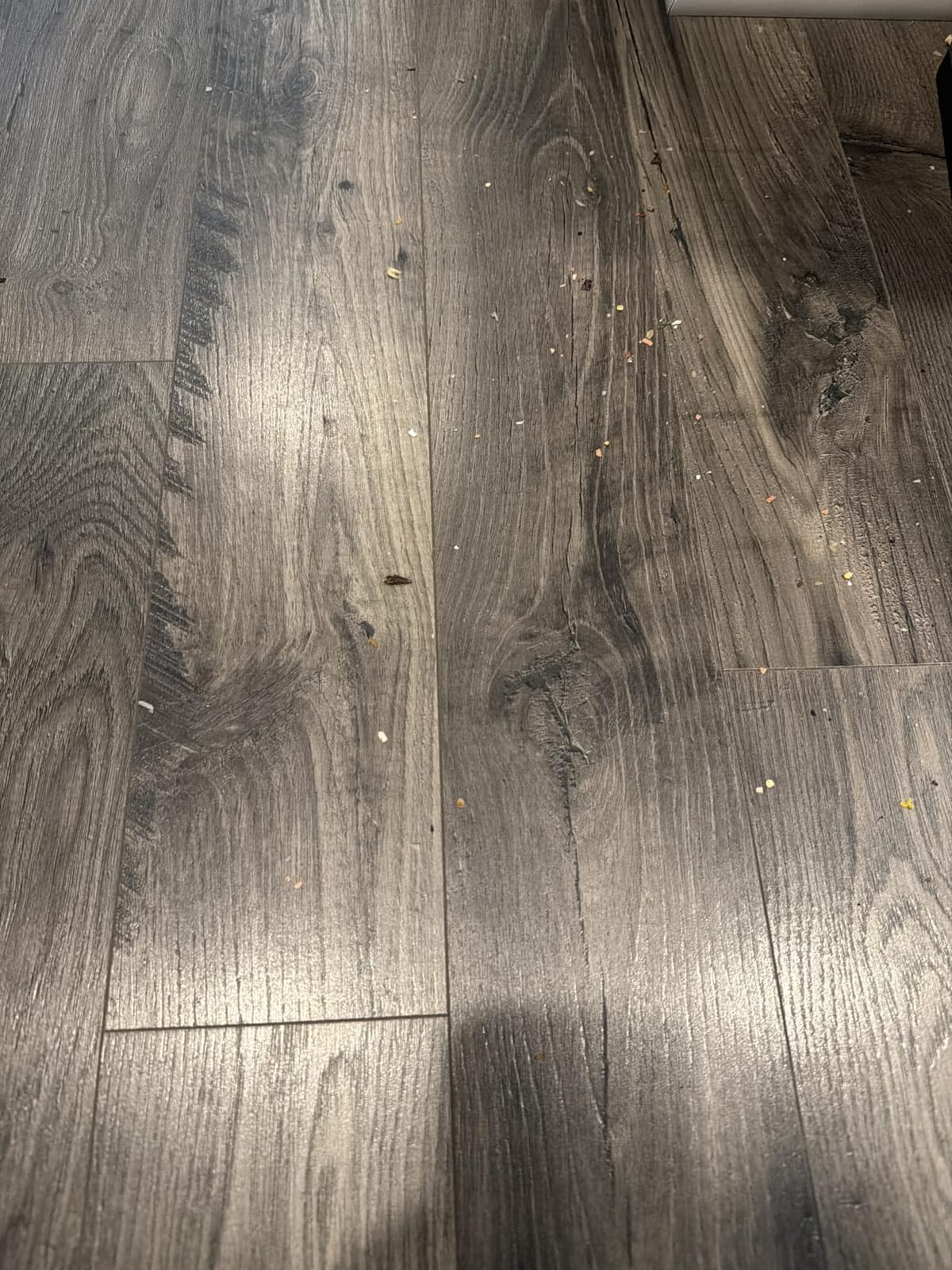 roborock 2026 New Qrevo 2 Pro Robot Vacuum and Mop, 20,000Pa Suction customer photo 1