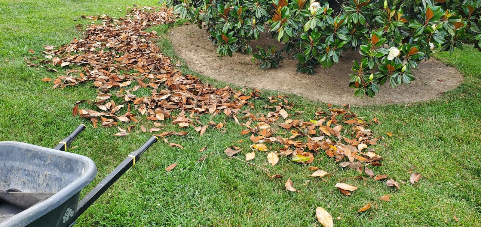 GreenSweep Pickup Pro V26 with AntiLock Drive – Push Lawn Sweeper for Leaves, Grass Clippings & Garden Debris – Large Capacity Hopper customer photo 2
