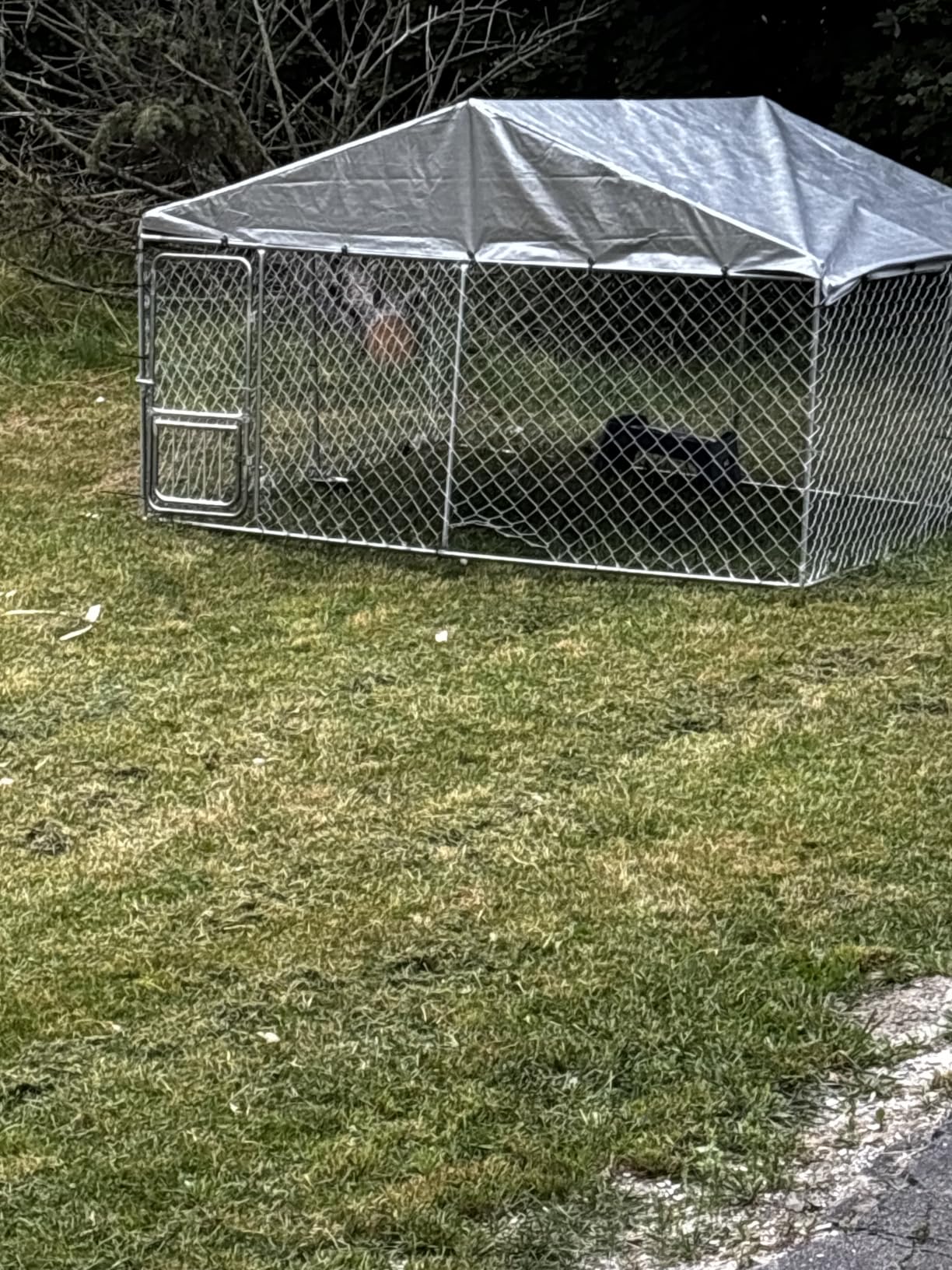 DWVO 7.5'x7.5' Outdoor Dog Enclosure with Roof customer photo 1