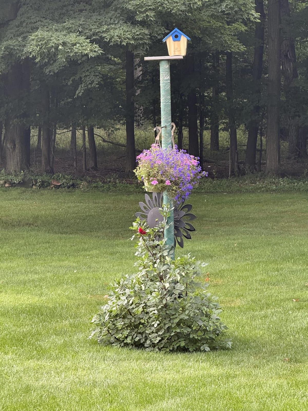 Kingsyard Squirrel Proof Hanging Bird Feeder for Outdoors customer photo 1