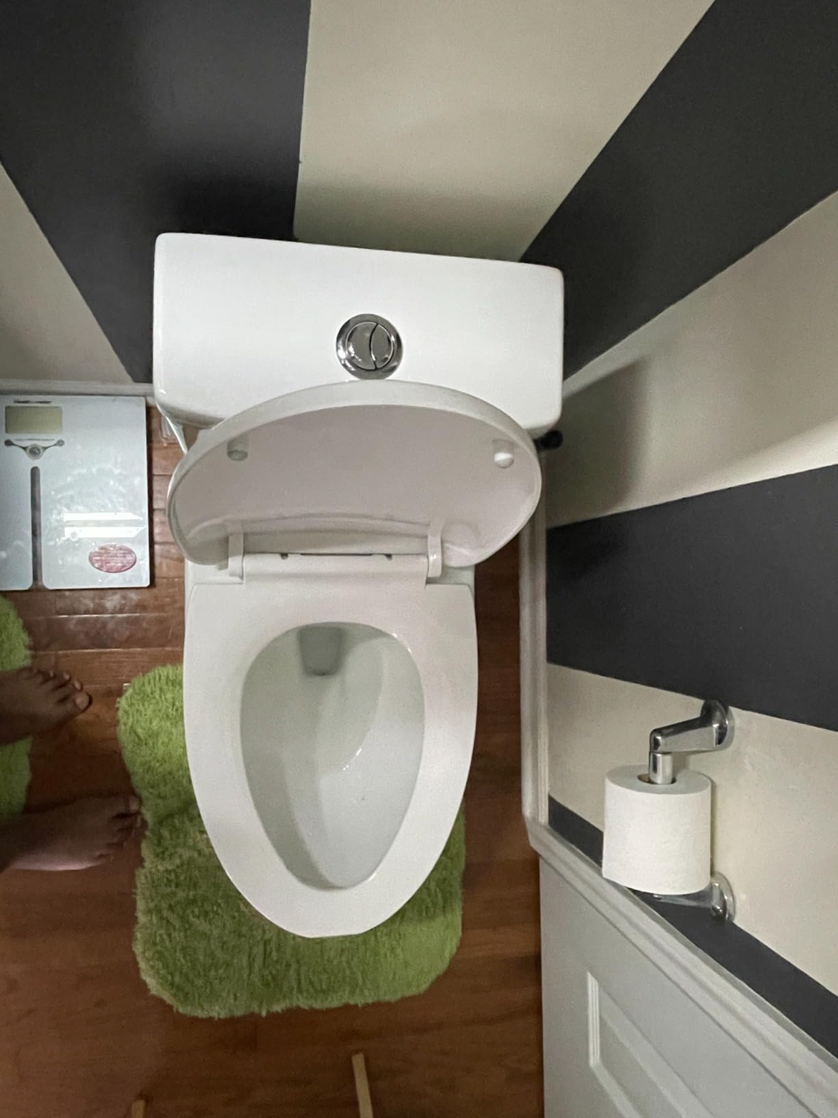 DeerValley Elongated One Piece Toilet with Efficient Dual Flush 1.1/1.6 GPF customer photo 1