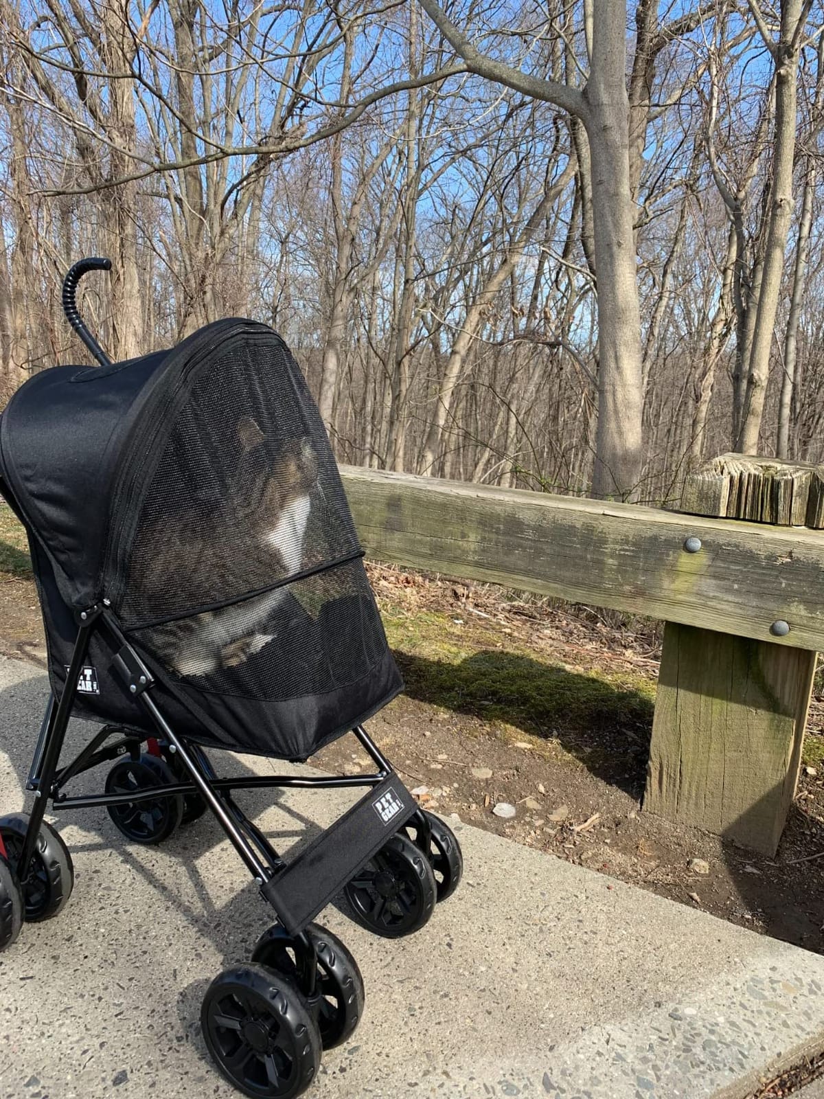 Pet Gear Travel Lite Plus Stroller, Coral customer photo 2