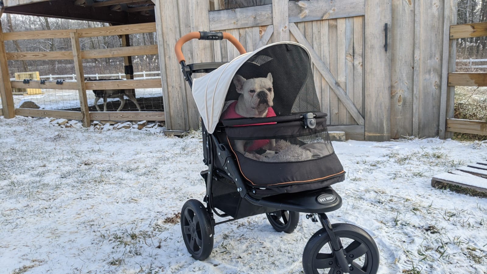 Pet Gear No-Zip AT3 Pet Stroller for Cats/Dogs, Sea Side customer photo 2