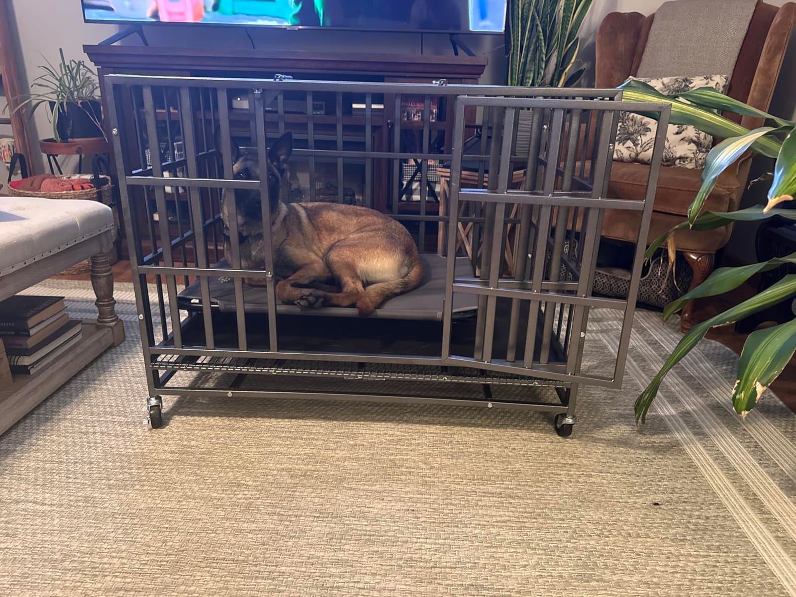 Hiwokk 54 Inch Heavy Duty Dog Crate, Indestructible Kennel for XLarge Dogs customer photo 1