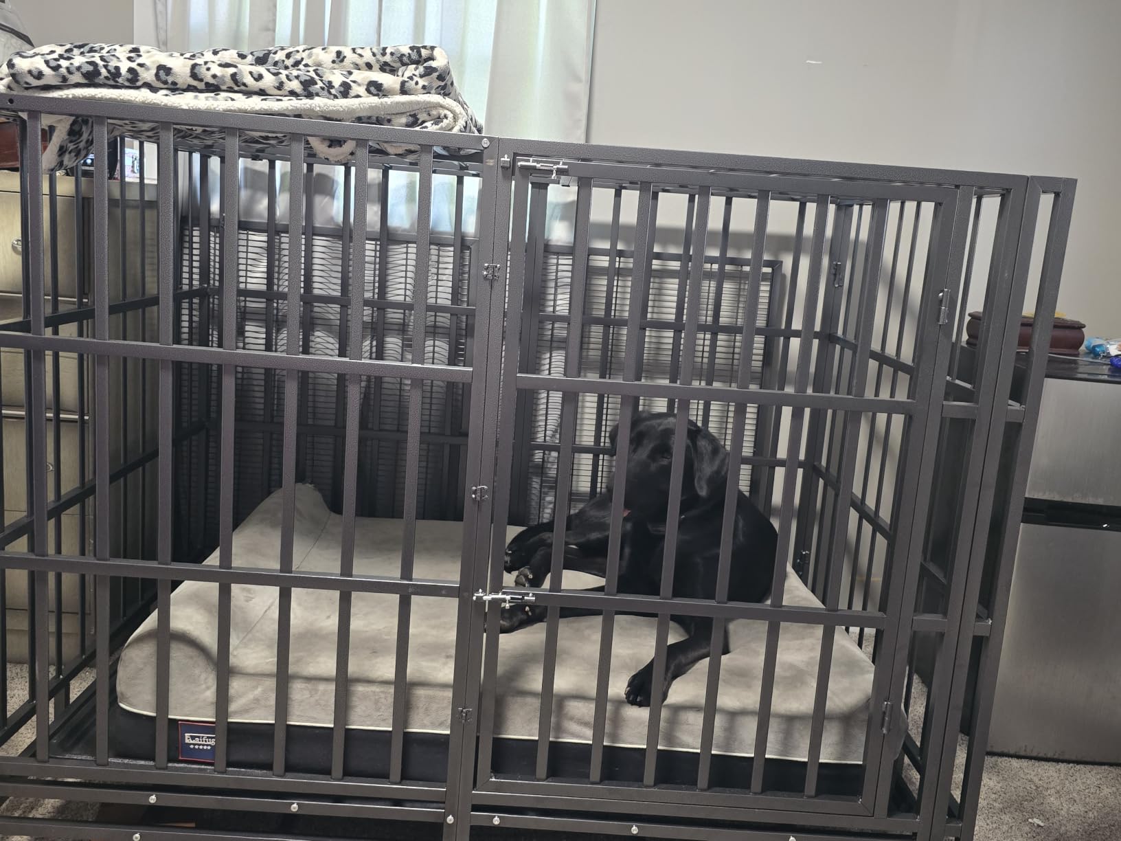 Hiwokk 54 Inch Heavy Duty Dog Crate, Indestructible Kennel for XLarge Dogs customer photo 2