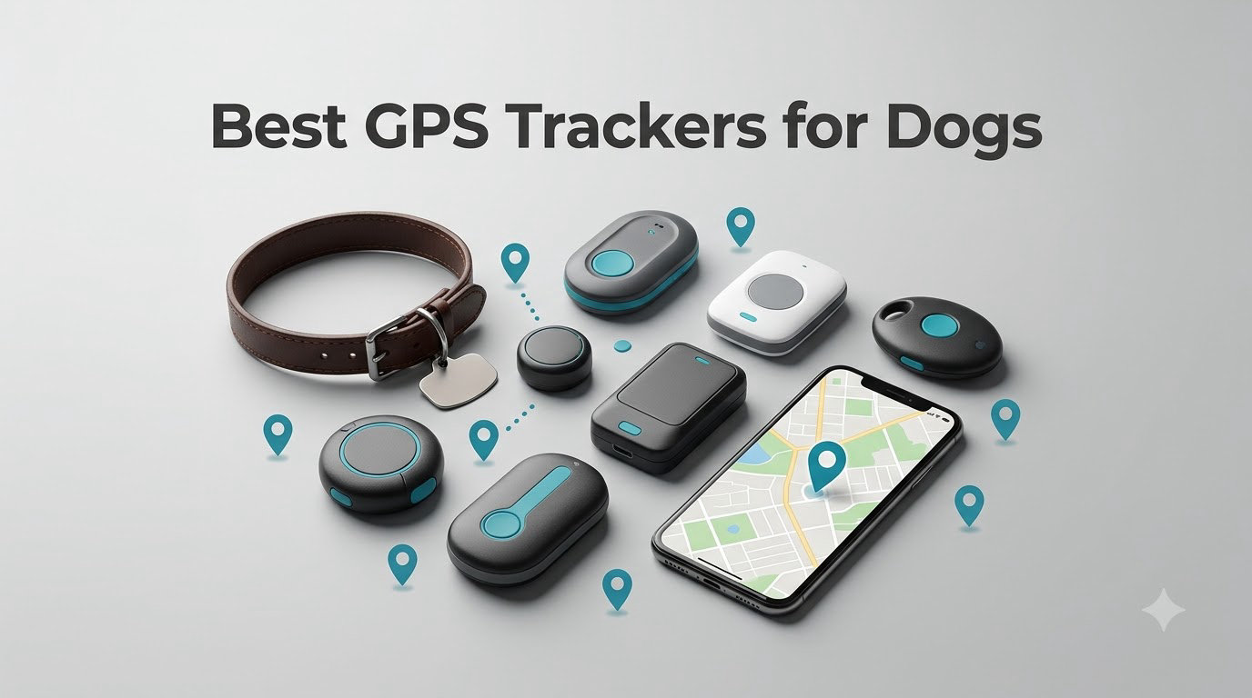 Best GPS Trackers for Dogs
