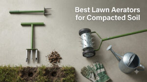 Best Lawn Aerators for Compacted Soil