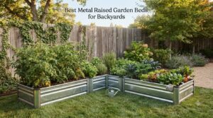 Best Metal Raised Garden Beds for Backyards