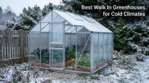 Best Walk In Greenhouses for Cold Climates