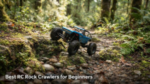 Best RC Rock Crawlers for Beginners