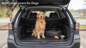 Best Cargo Liners for Dogs