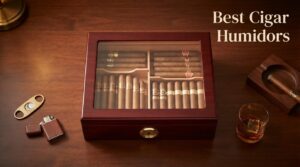 Best Cigar Humidors