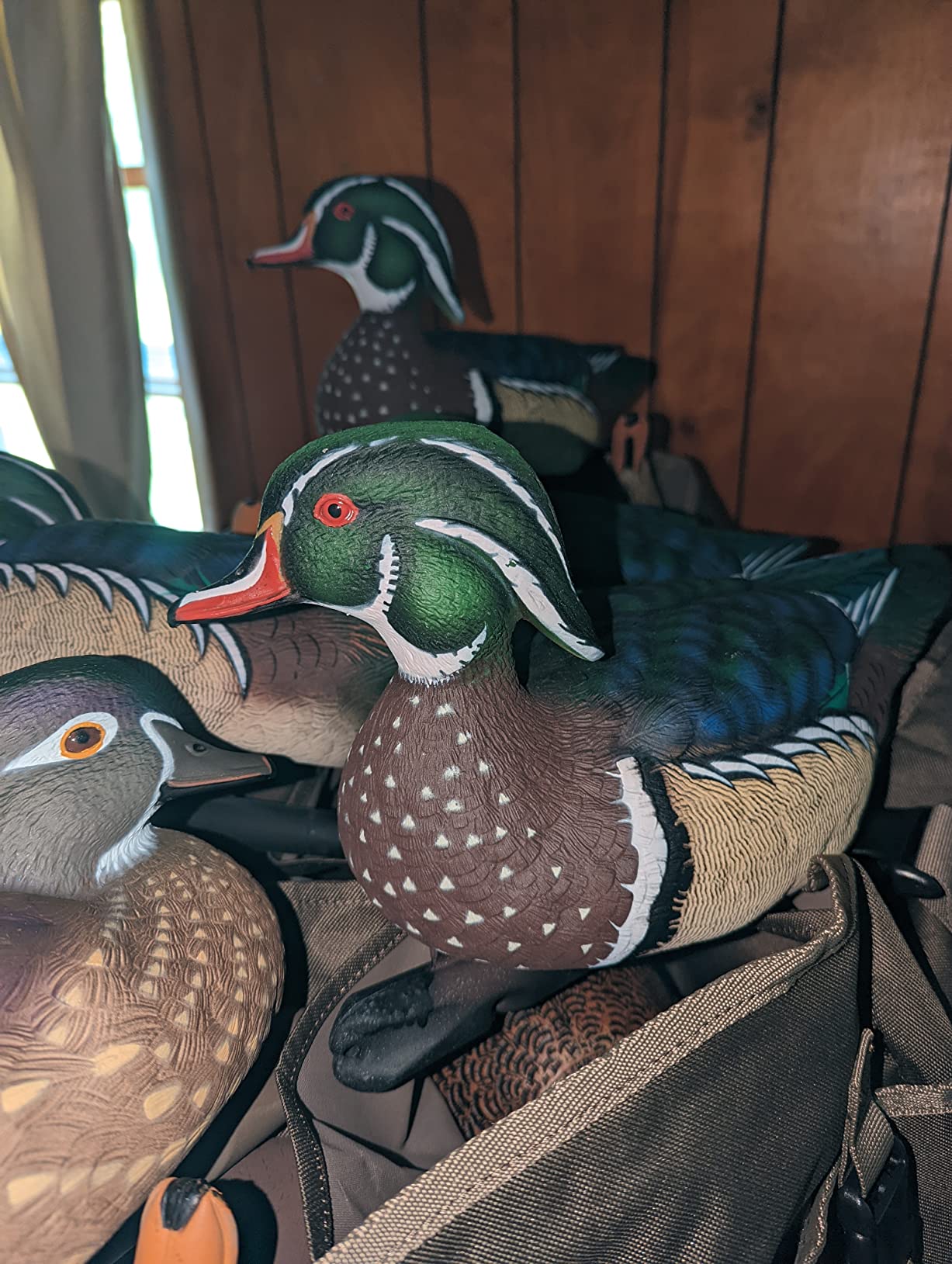 Avian X Topflight Realistic Floating Wood Duck Decoys with Weight-Forward Swim Keel, Set of 6 (Multicolor) customer photo 2