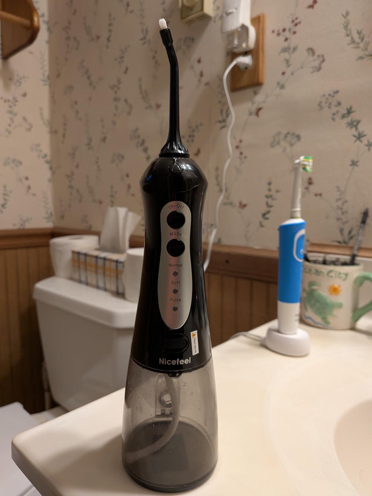 Nicefeel Water Flosser, 300ML Portable Water Dental Pick Cordless for Teeth, Braces, Sensitive Gum, Oral Irrigator for Travel & Home with 5 Jet Tips & 3 Modes, Rechargeable, IPX7 Waterproof customer photo 1