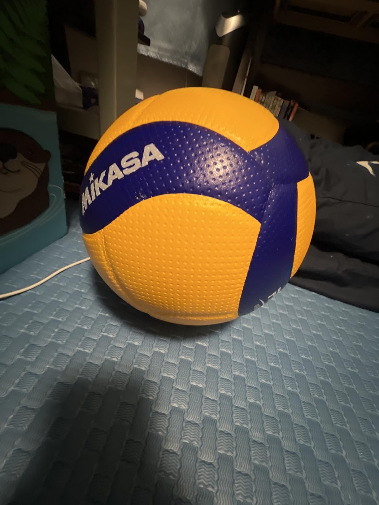 Mikasa V200W, Volleyball customer photo 1