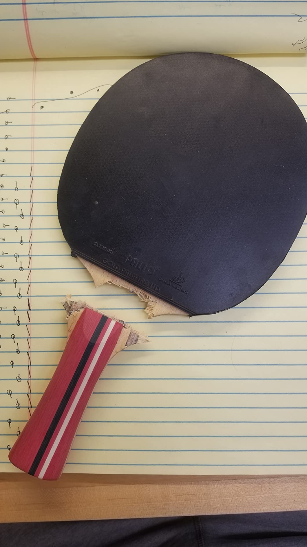 Palio Master 3.0 Table Tennis Bat & Case | ITTF-Approved Intermediate Ping Pong Racket | Allround Speed, Spin and Control customer photo 2