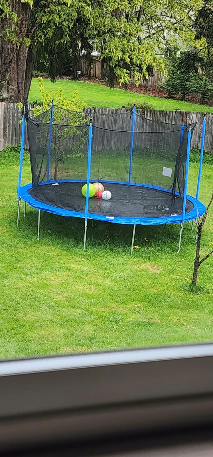 14FT Heavy-Duty Outdoor Trampoline with Basketball Hoop for Teens & Adult customer photo 1